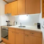 Lägenhet Skijuwel Appartments - Wildschoenau - Tirol *
