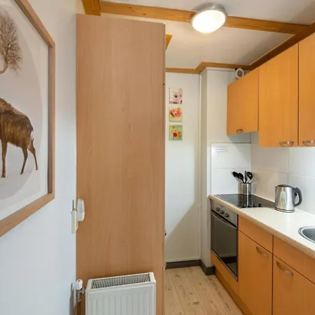 Lejlighed Skijuwel Appartments - Wildschoenau - Tirol Auffach