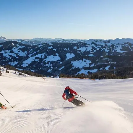 Skijuwel Appartments - Wildschoenau - Tirol
